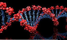 الجين:تعريف الجين و ما هي الجينات الوراثيةGENE